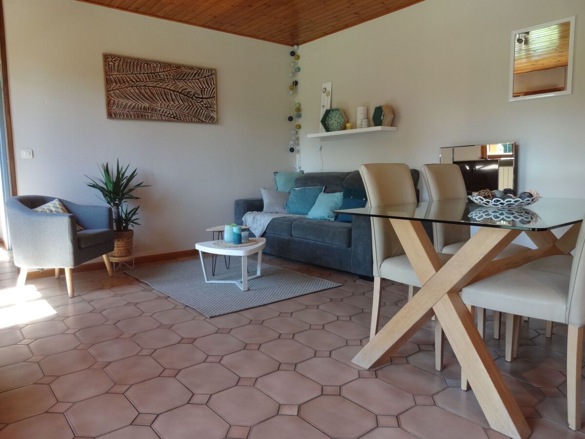 Gîte indépendant Soultzmatt, jardin 300m² sud - Photo 7