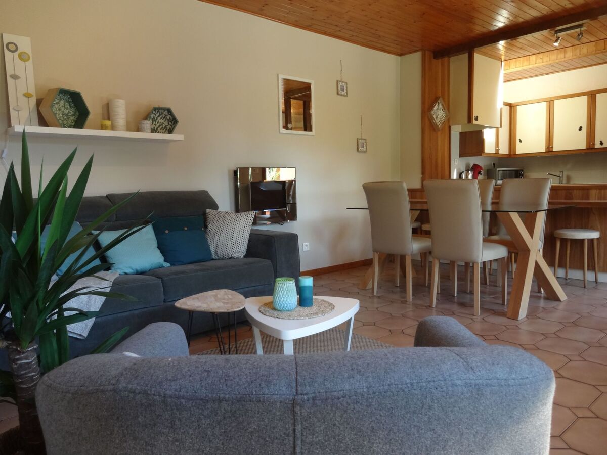 Gîte indépendant Soultzmatt, jardin 300m² sud - Photo 8