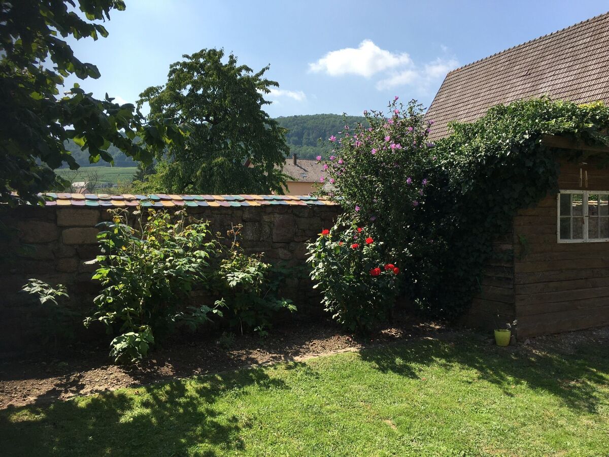 Gîte indépendant Soultzmatt, jardin 300m² sud - Photo 21