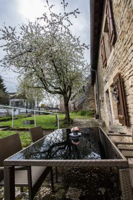 Maison en pierre avec piscine chauffée à Brotte lès Ray : photo 17