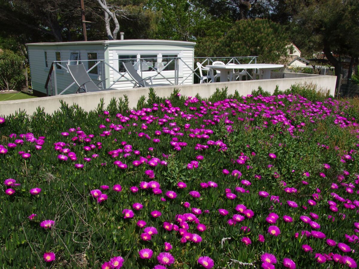 Mobil-home 28m² bord de mer à Agde - Photo 3