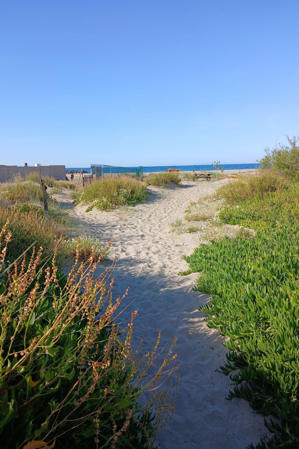 Mobil-home Les Dunes, 2 ch. à 20 m de la mer - Photo 13