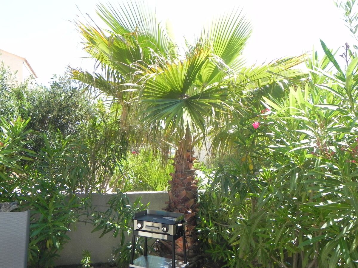 Maison 3 chambres Gruissan, 100m de la plage - Photo 26