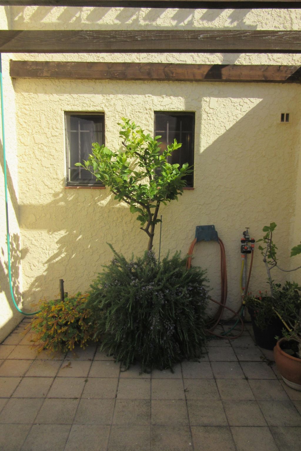Maison 3 chambres à 500 m de la plage, Saint Cyprien - Photo 7