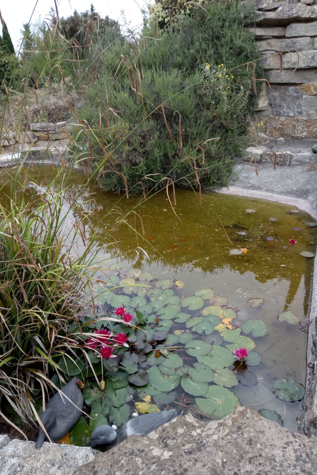 Studio Onida – Appartement à Boutenac avec piscine - Photo 10