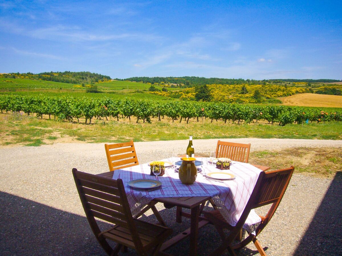 Gîte 3 chambres avec piscine privée dans un vignoble - Photo 23