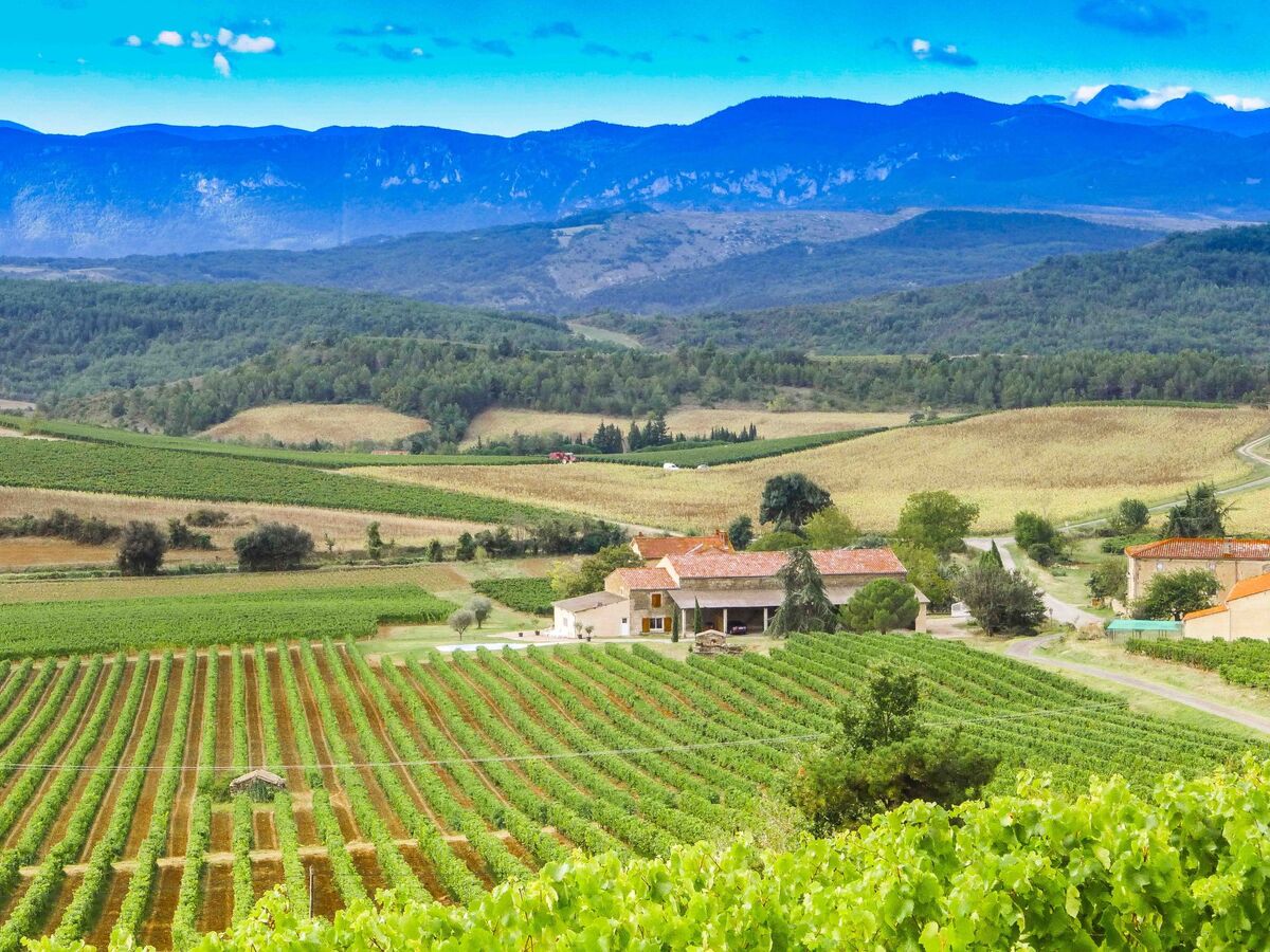 Gîte 3 chambres avec piscine privée dans un vignoble - Photo 24