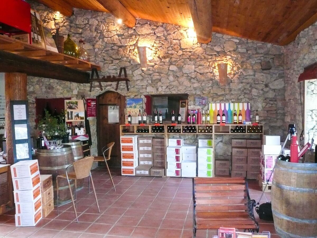 Maison vigneronne 4* au cœur d'un domaine viticole - Photo 18