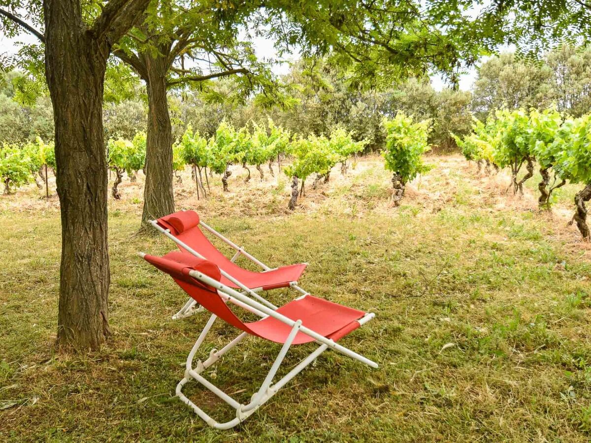 Maison vigneronne 4* au cœur d'un domaine viticole - Photo 19