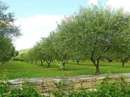 Villa Fleurie – Maison 9 pers., piscine privée à Uzès - Photo 37