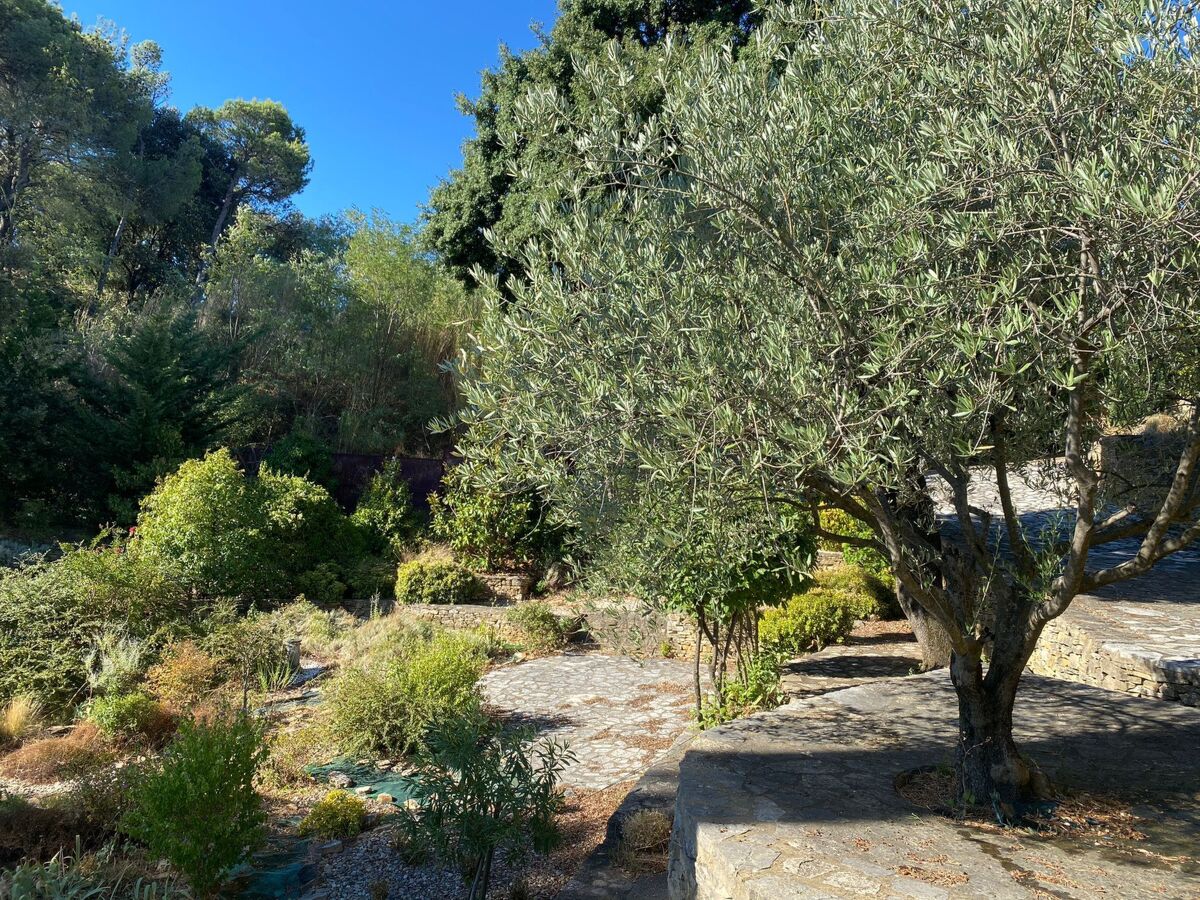 Villa 5 chambres avec piscine débordement à Bagnols-sur-Cèze - Photo 7