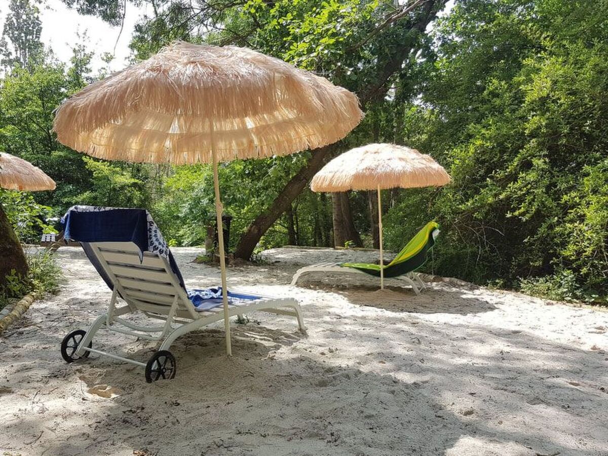 Moulin à Eau : maison 8 chambres, parc 8000 m², piscine - Photo 8