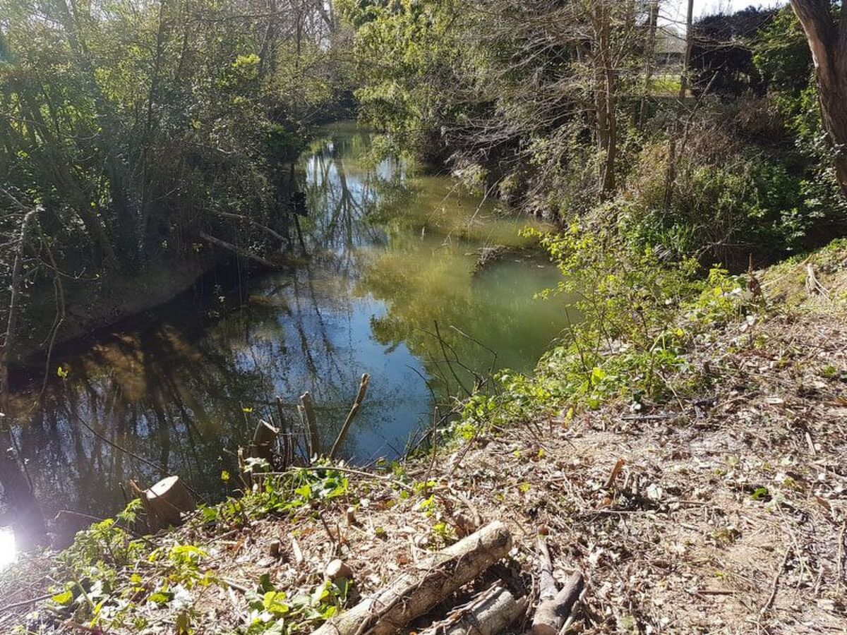 Moulin à Eau : maison 8 chambres, parc 8000 m², piscine - Photo 23