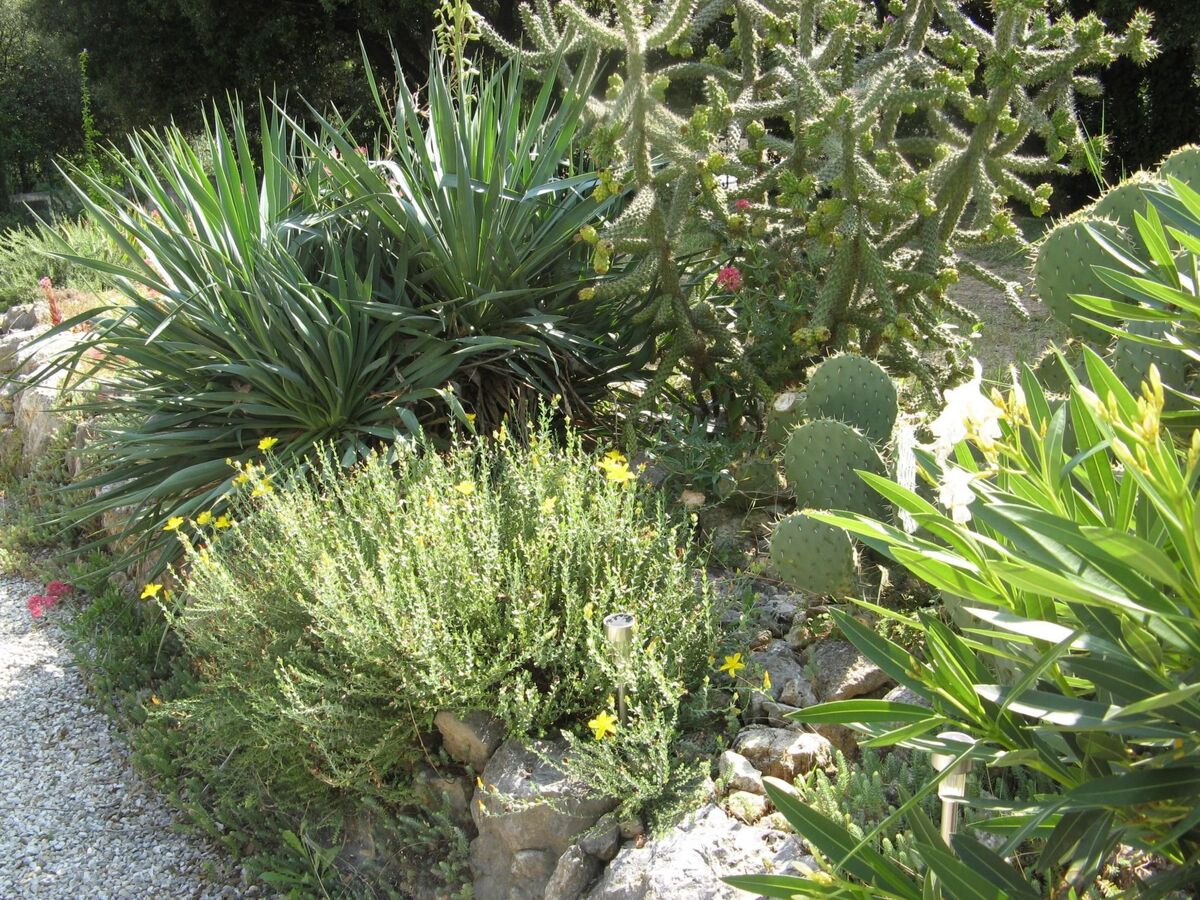 Maison 4 pers. aux Garrigues Ste Eulalie - Photo 24