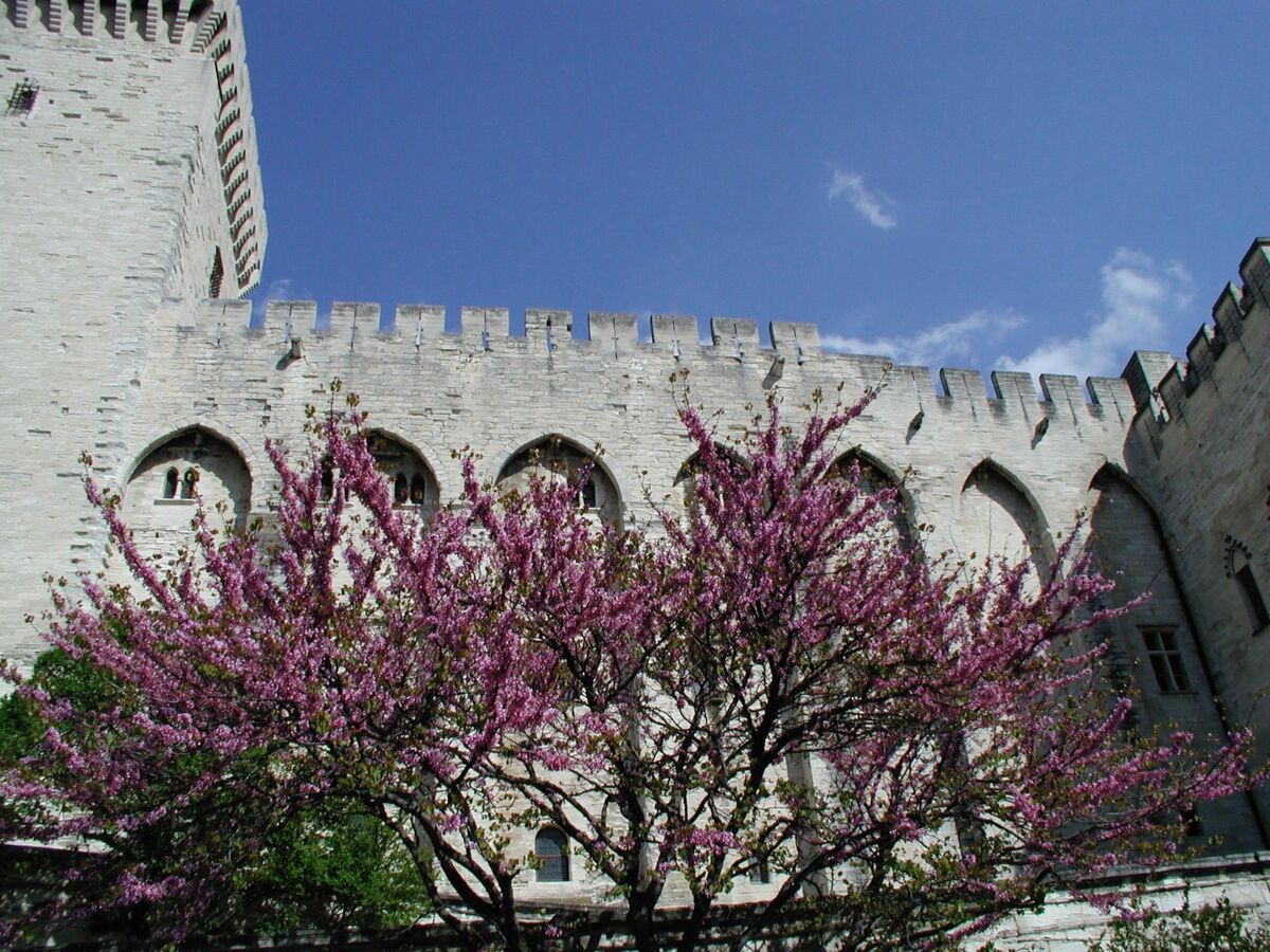 Maison 3 chambres protégée du mistral à Garrigues - Photo 39