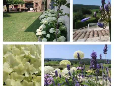 Gîte Joie de Vivre - Maison 2 pers. avec piscine à Cavillargues : photo 10