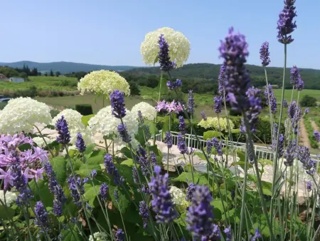 Gîte Joie de Vivre - Maison 2 pers. avec piscine à Cavillargues : photo 11