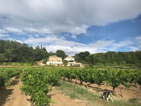 Gîte Maison Carrée à Cavillargues, piscine privée : photo 4