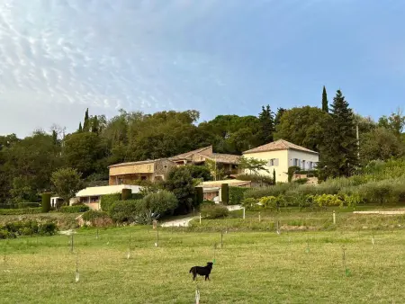 Gîte Maison Carrée à Cavillargues, piscine privée : photo 17