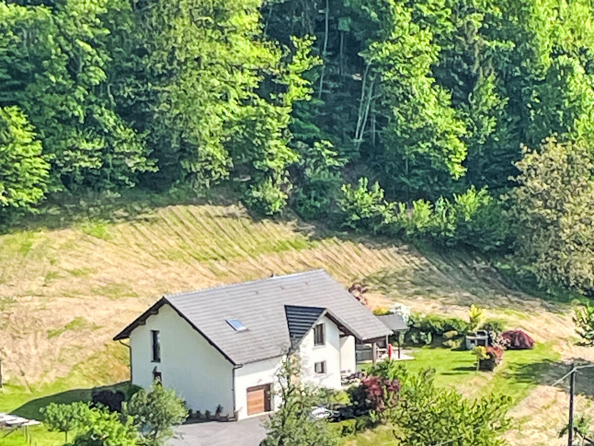Maison 5 chambres avec spa et vue lac à Aiguebelette - Photo 2
