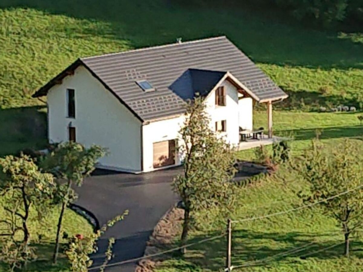 Maison 5 chambres avec spa et vue lac à Aiguebelette - Photo 16