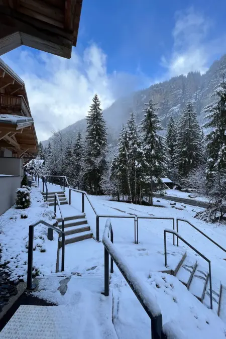 Alpine Creek - Luxus Ski-in Avoriaz Morzine, Location Maison 10 personnes à Morzine - Photo 4