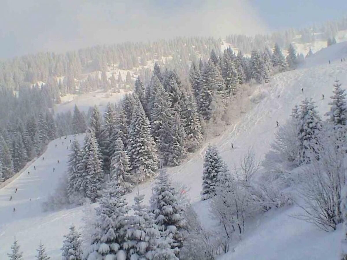 Jardin Alpin – Appartement 6 pers. à 100 m des pistes - Photo 22