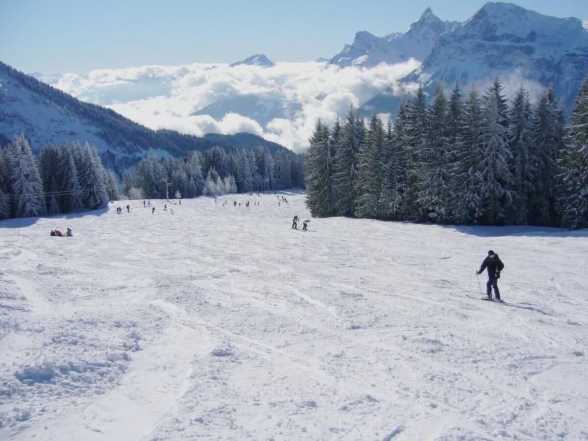 Jardin Alpin – Appartement 6 pers. à 100 m des pistes - Photo 24