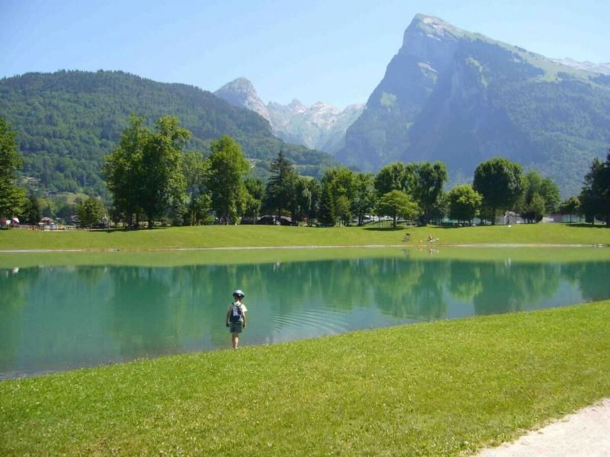 Jardin Alpin – Appartement 6 pers. à 100 m des pistes - Photo 29