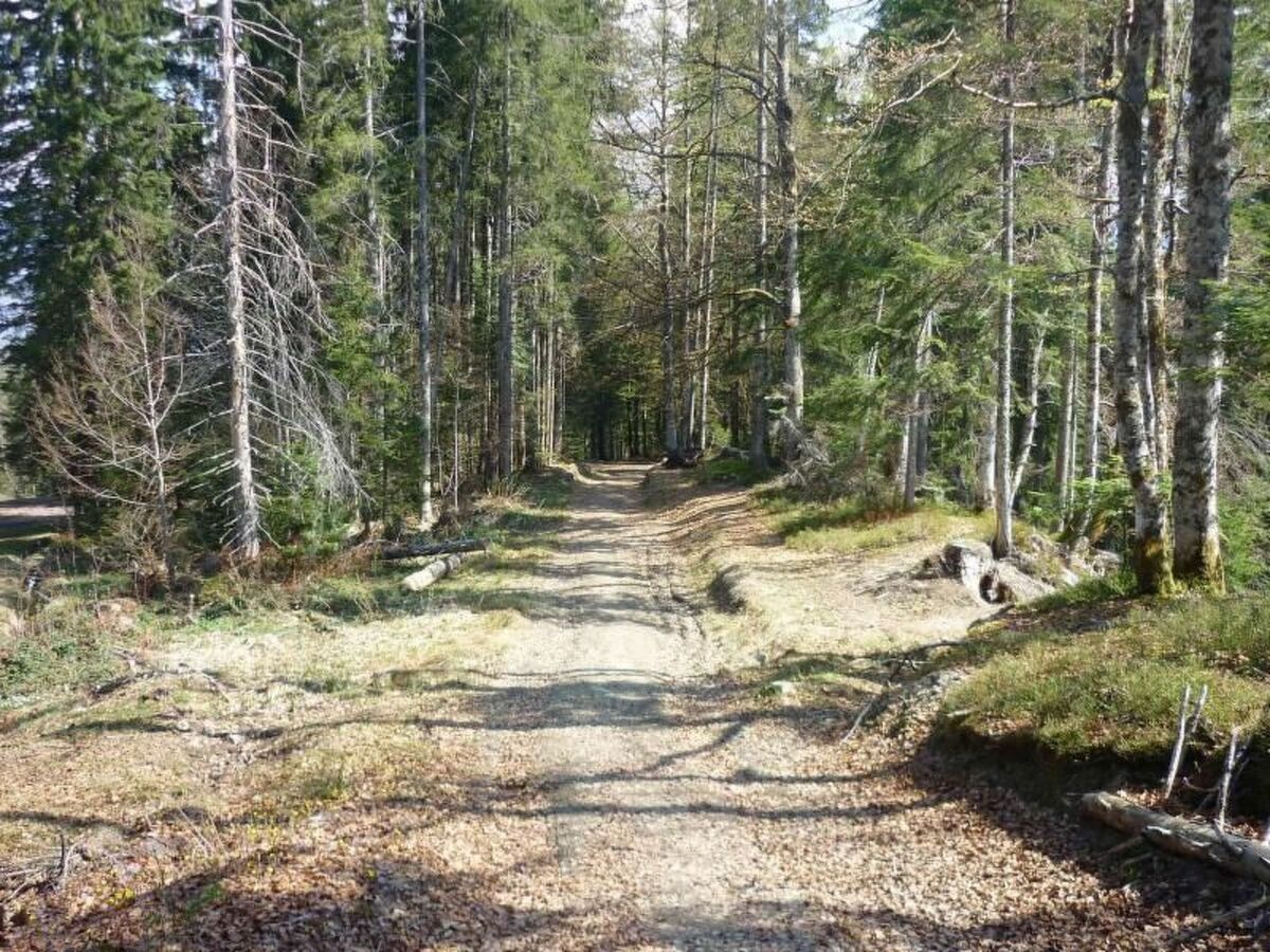 Jardin Alpin – Appartement 6 pers. à 100 m des pistes - Photo 33