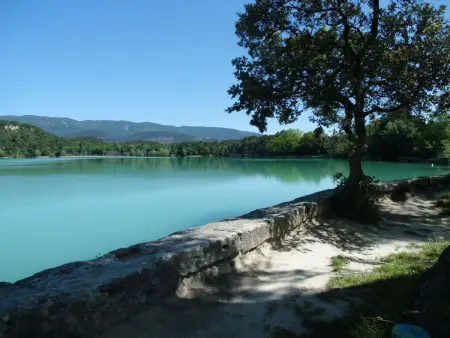Maison Luberon Provence avec piscine à Pierrevert : photo 15