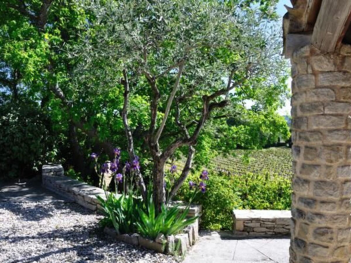 Maison provençale Puyméras, 1 chambre, piscine - Photo 31