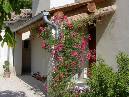 Mas de la Damisello – Maison 8 pers. piscine à Vaison : photo 33