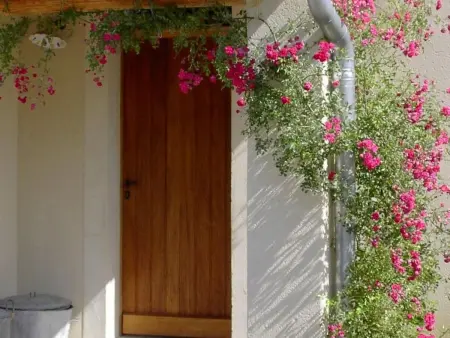 Mas de la Damisello – Maison 8 pers. piscine à Vaison : photo 35