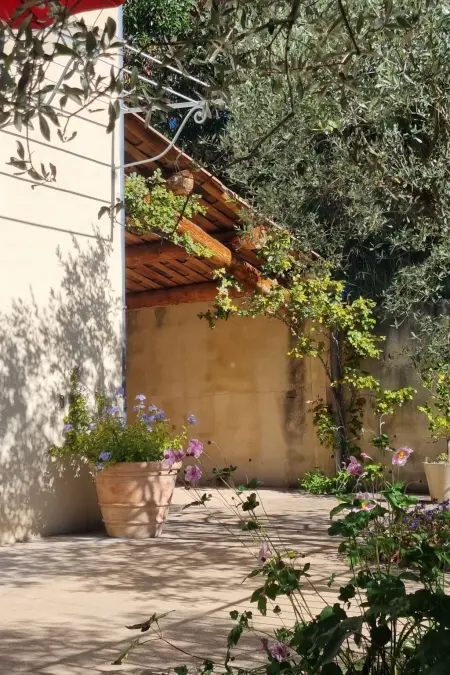 Mas de la Damisello – Maison 8 pers. piscine à Vaison : photo 49