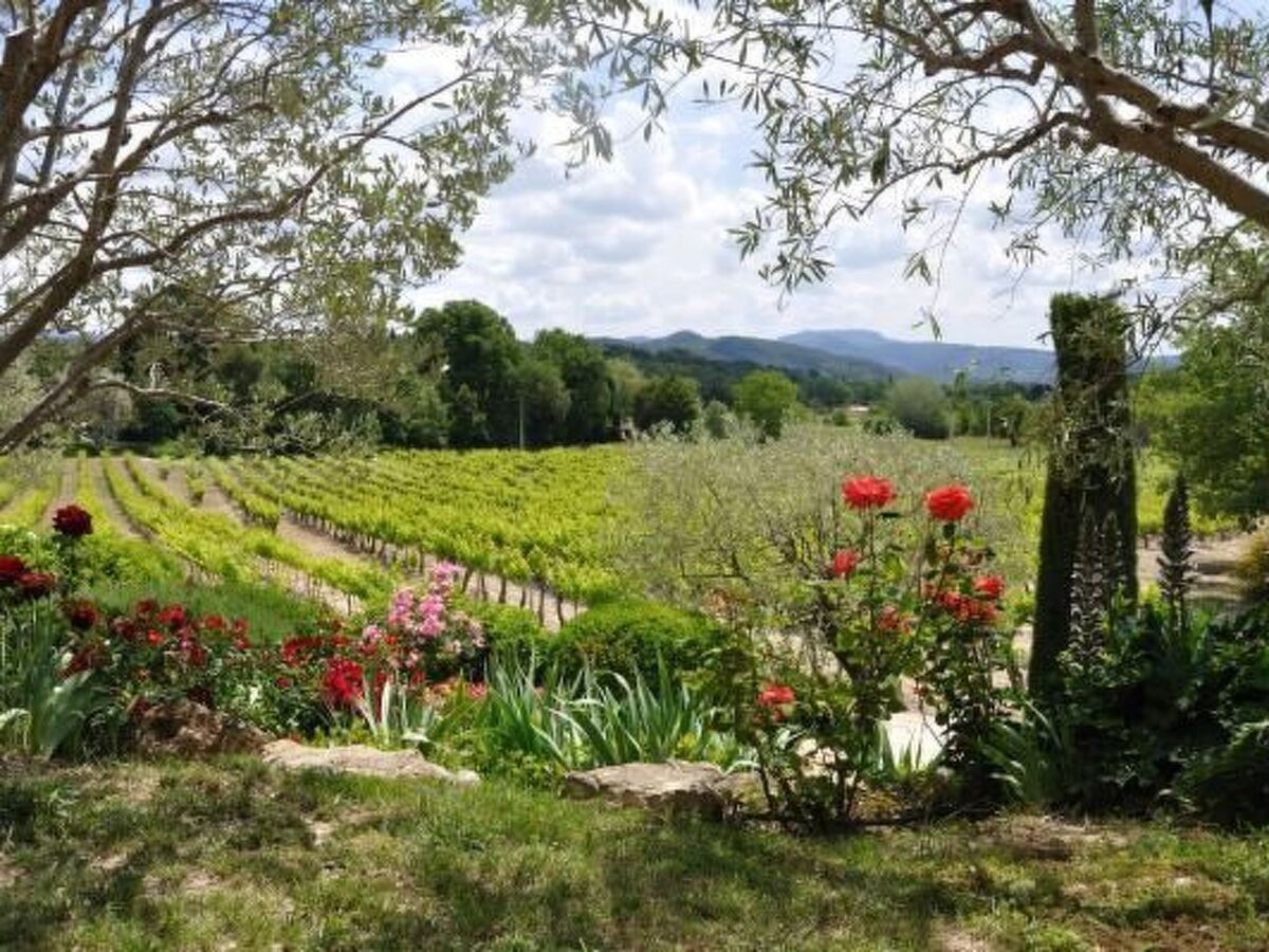 Maison de Lavande à Puyméras, vue vignes et montagnes - Photo 21