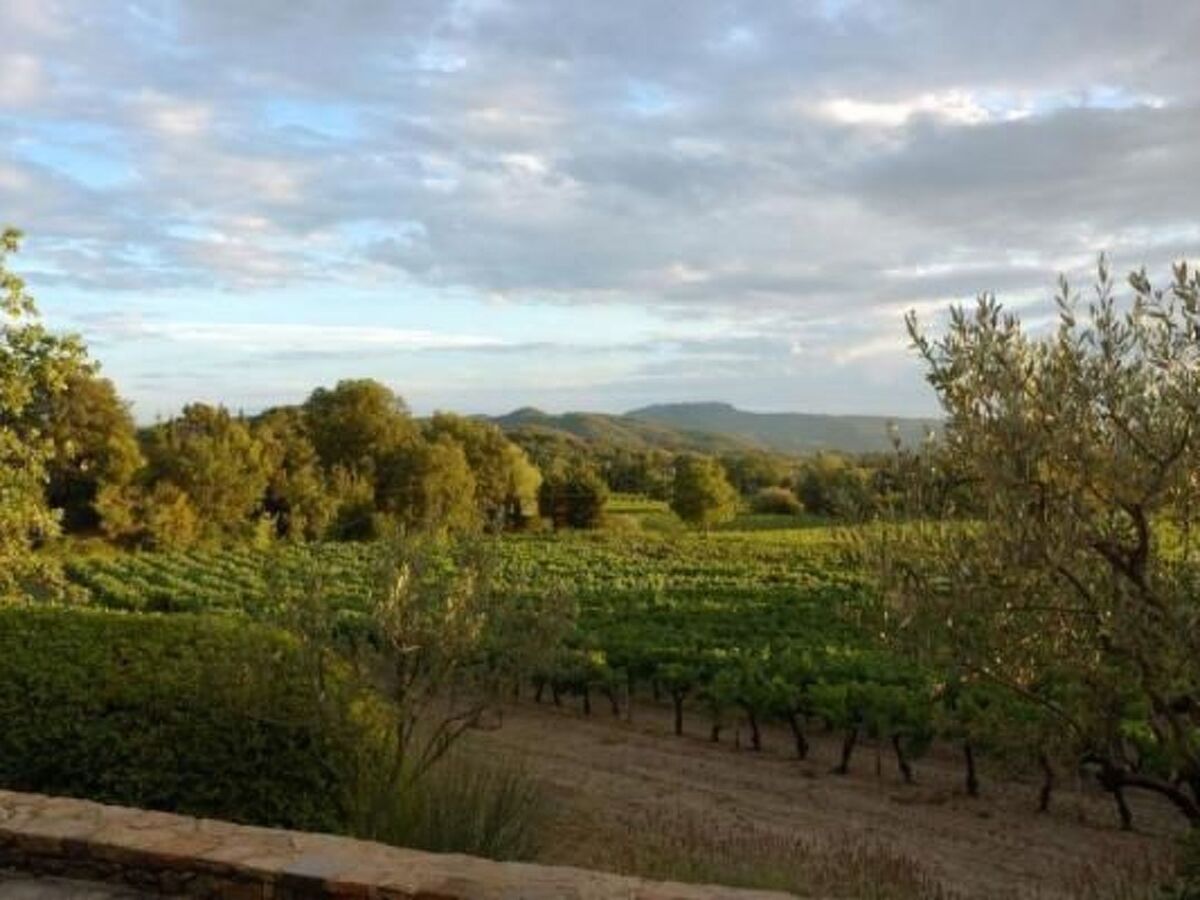 Maison de Lavande à Puyméras, vue vignes et montagnes - Photo 24