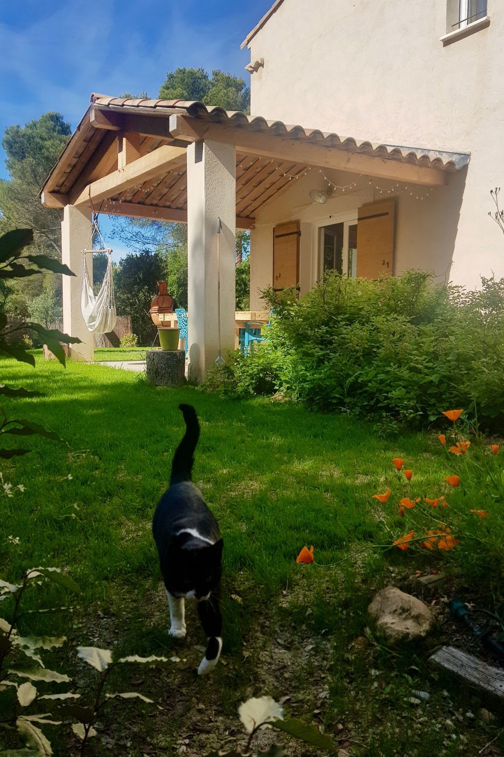 Maison 3 chambres avec piscine privée à Bédoin - Photo 13