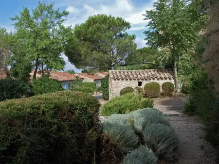 Cyprès du Paradis - Appartement Gordes, terrasse privée : photo 12