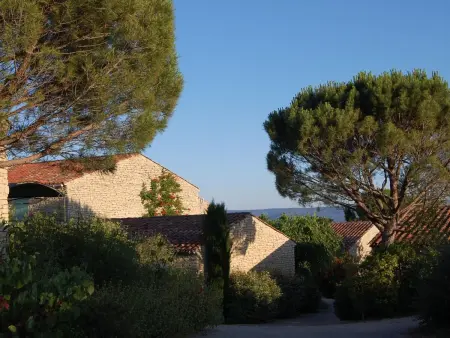 Cyprès du Paradis - Appartement Gordes, terrasse privée : photo 13