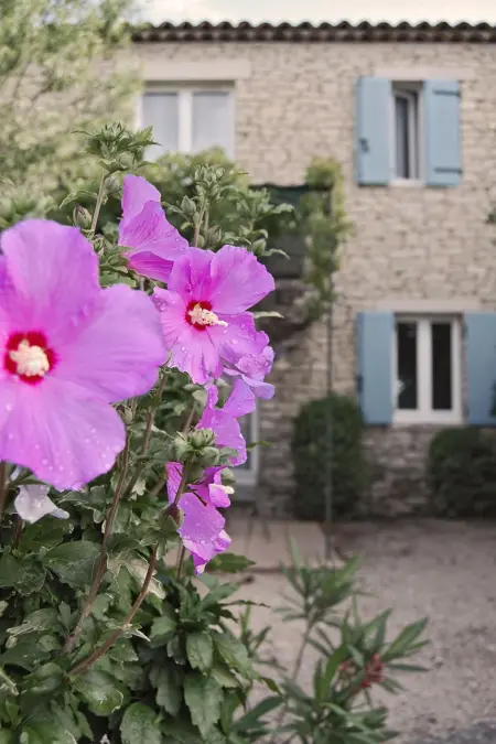 Cyprès du Paradis - Appartement Gordes, terrasse privée : photo 21