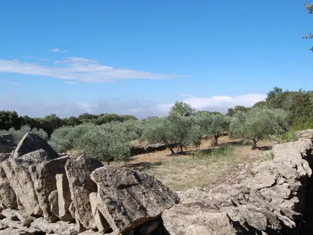 Cyprès du Paradis - Appartement Gordes, terrasse privée : photo 30
