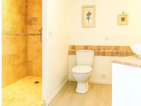 Maison 10 pers. avec piscine privée à Bédarrides : photo 19