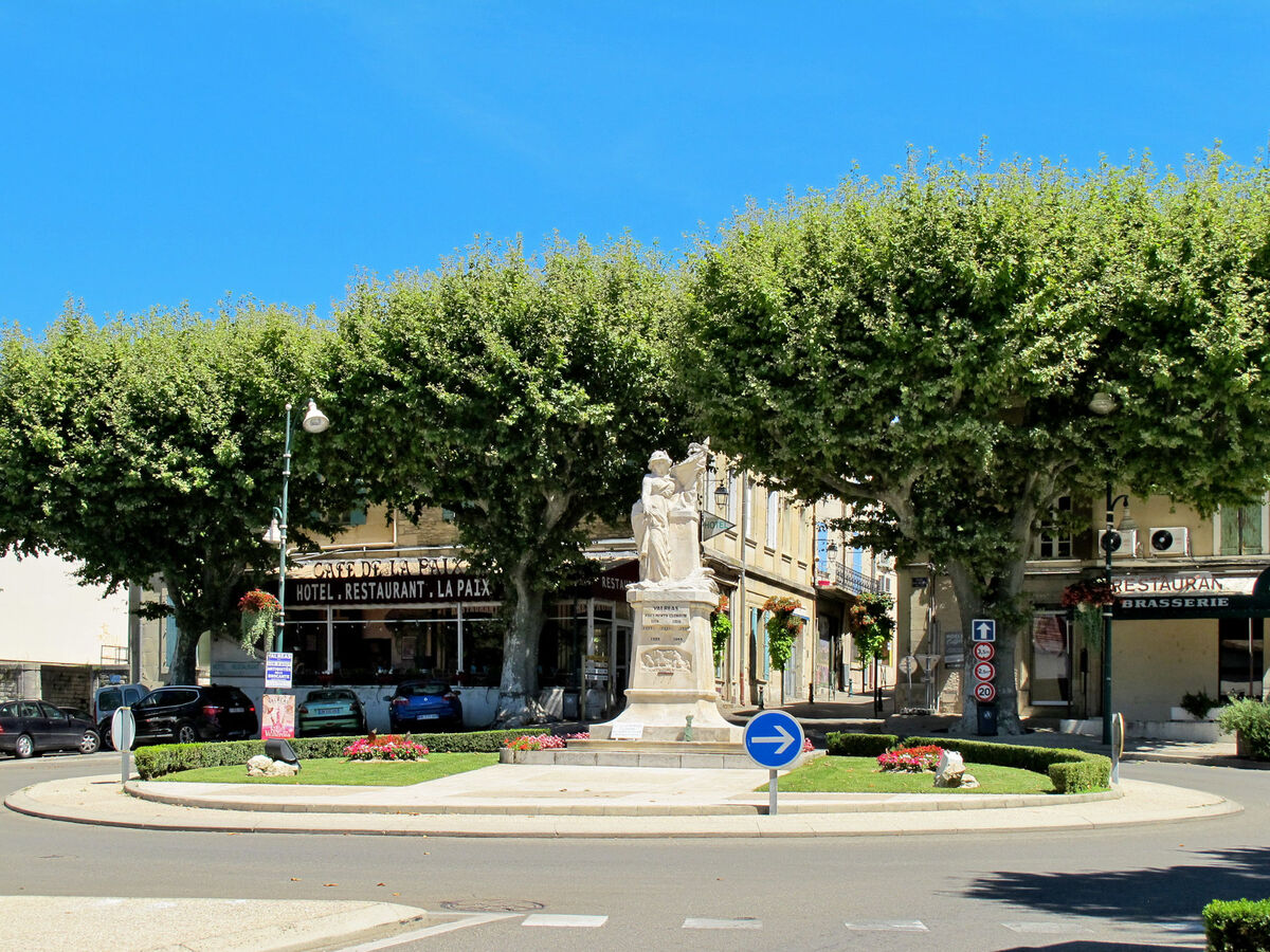 Bastide provençale 4 chambres, piscine privée et animaux - Photo 33