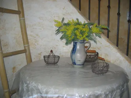 Pin Parasol à Aups : maison 5 pers. avec piscine : photo 21