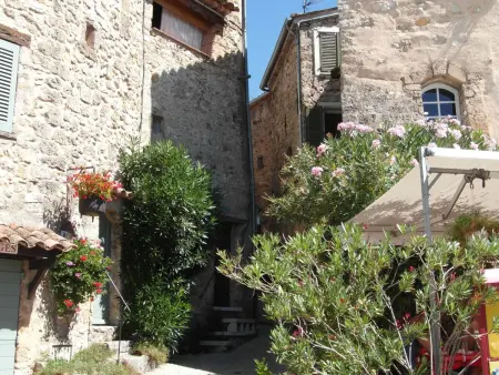 Pin Parasol à Aups : maison 5 pers. avec piscine : photo 42