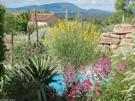 Les Amandiers, maison 2 chambres avec piscine à Aups : photo 19