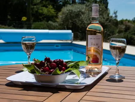 Le Mûrier - Maison 4 pers. avec piscine à Aups : photo 25