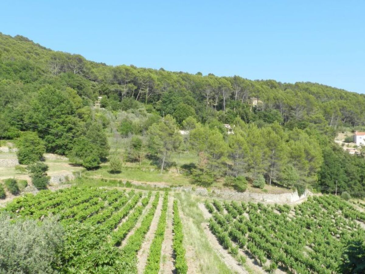 Gîtes Saint Michel, maison 4 chambres au cœur du vignoble - Photo 18