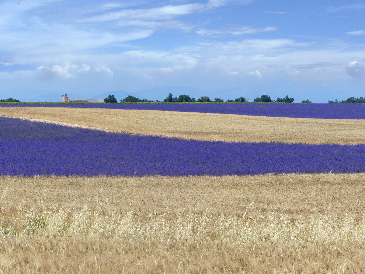 Appartement rustique à Allemagne-en-Provence, poêle à pellets - Photo 16